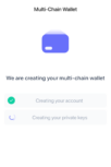 Multi-chain wallet