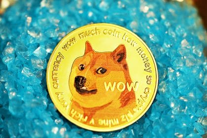 Elon Musk Suggests Twitter Blue Subscribers Should Pay in Dogecoin