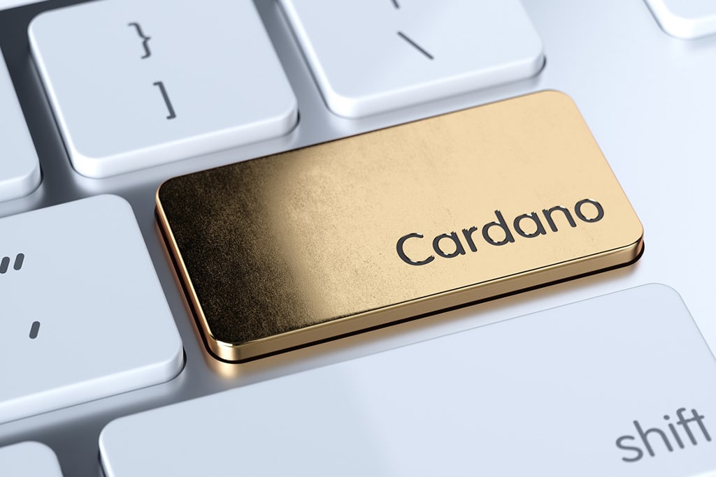 Cardano (ADA) Leads Altcoin Market Rally with 30% Gains, Here’s Why