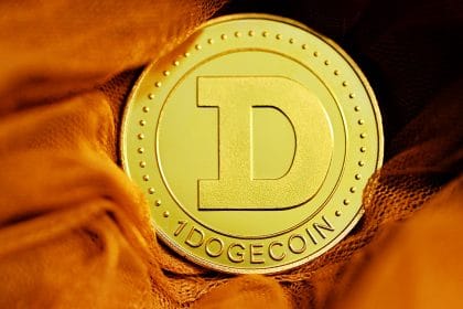 Dogecoin Falls by Over 90% from All-time High as Crypto Market Records Massive Pullback