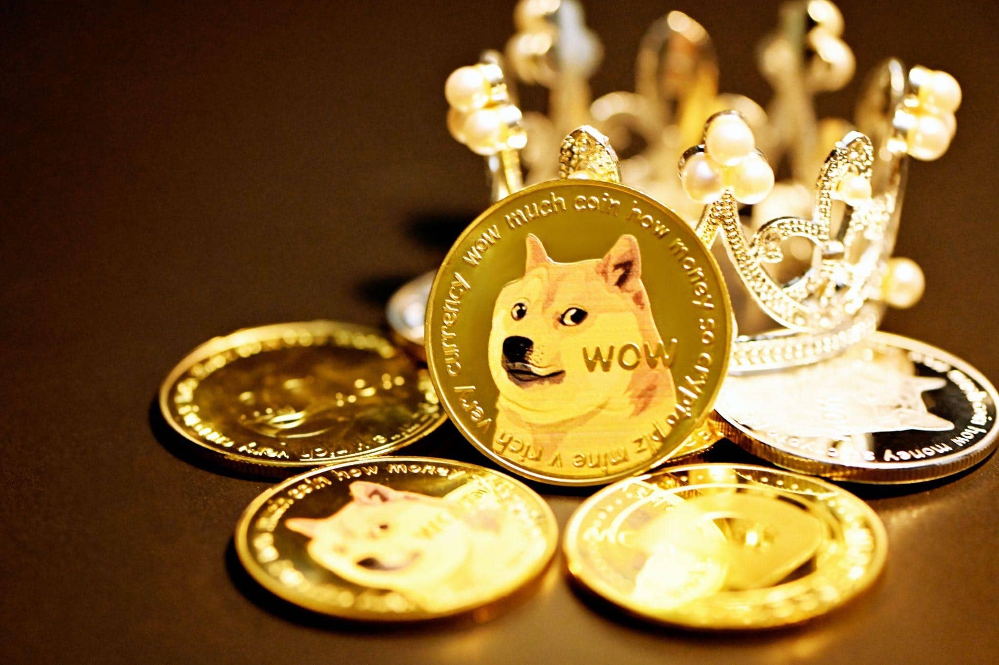 Three Meme Coins to Watch Out for This Year: Parody Coin (PARO), Dogecoin (DOGE), and Dogelon Mars (ELON)