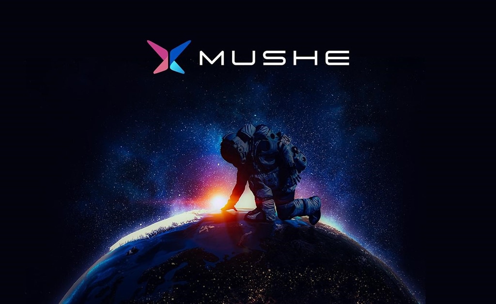 Are Mushe Token (XMU), Dash (DASH), and Pac Gold (PAXG) the Best Cryptocurrencies to Focus on Despite the Crash?