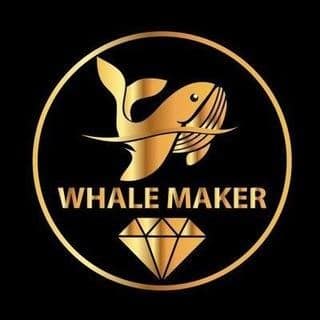 WhaleMaker Fund Transitioned to Multichain Structure within Just Two Months 