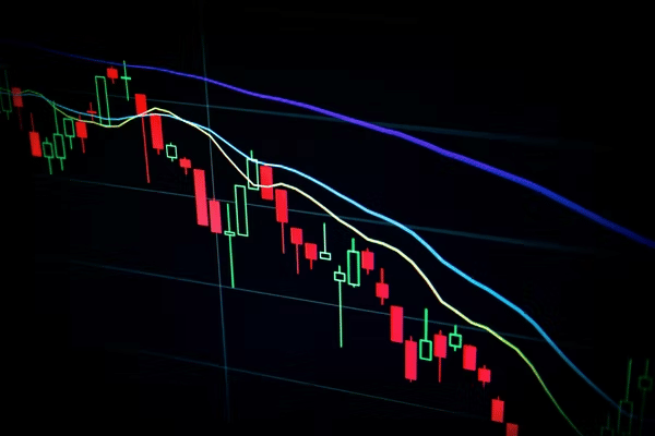 Cryptocurrencies to Buy Now: PugglitInu and Binance Coin