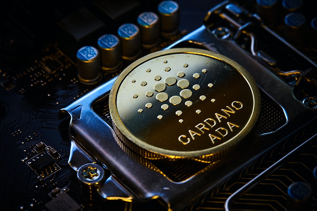 Cardano Community Braces for Vasil Hard Fork