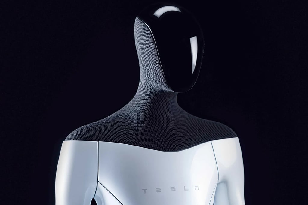 Elon Musk and Tesla Face Skepticism Regarding Prospective Line of Optimus Robots
