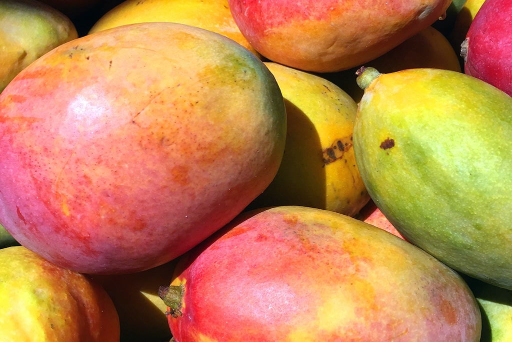 Mango Markets to Begin Returning Stolen Funds from $114 Exploit