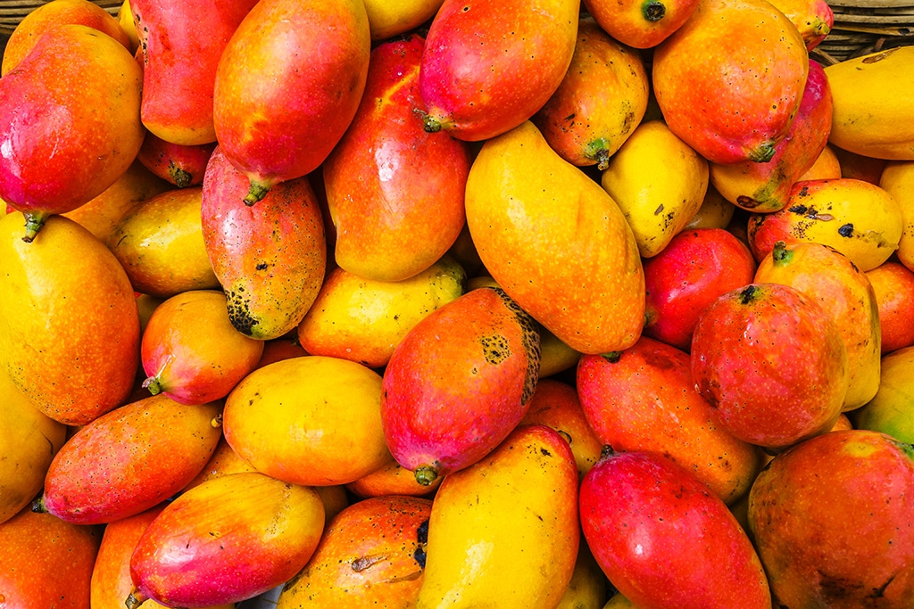 Solana Blockchain-based Mango Markets Loses $116M in Cyber Attack