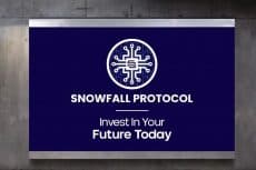 Snowfall Protocol (SNW) Token Beats Shiba Inu (SHIB) and GetKicks (KICKS) for Top Token Performance!