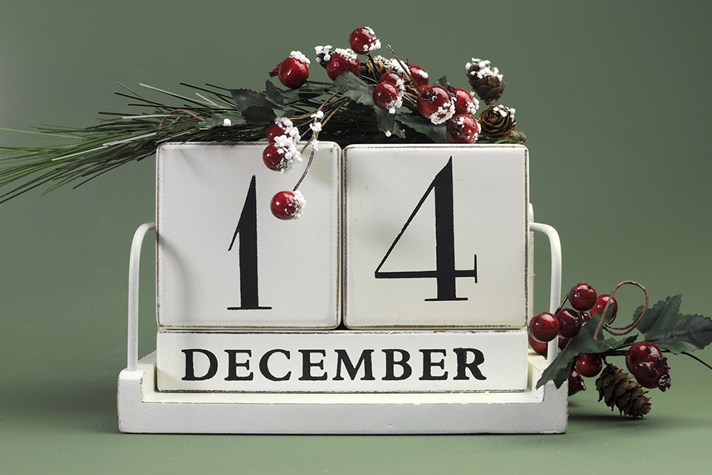 Coinspeaker Advent Calendar: BNB Coin Price Expectations 2023