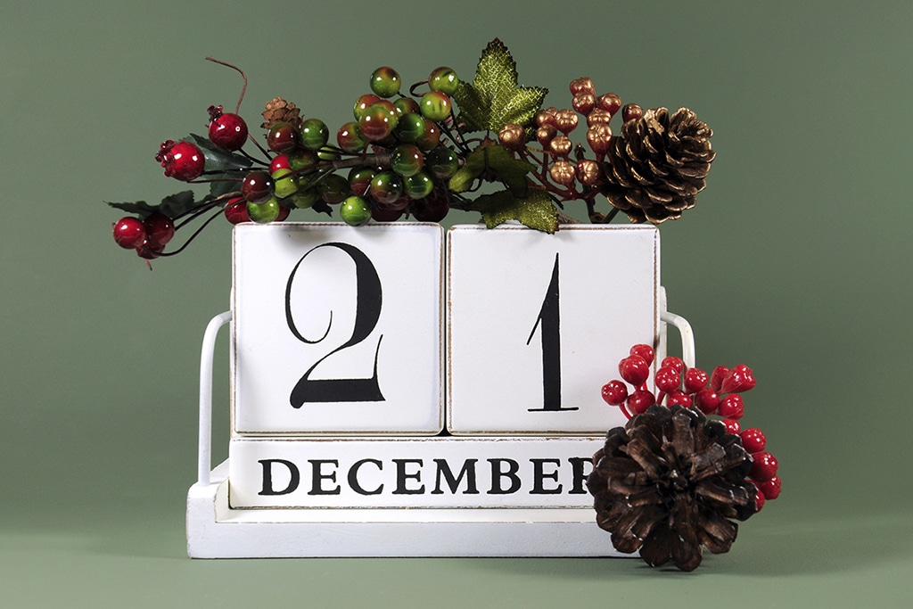 Coinspeaker Advent Calendar: Shiba Inu Price Change 2023