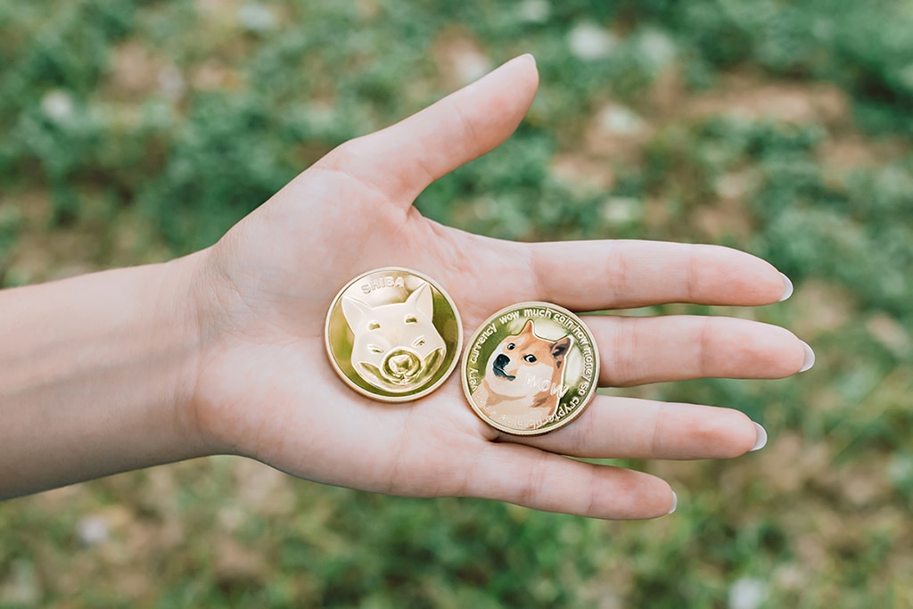 Dogecoin, Shiba Inu & Bonk Inu Recently Combine for $25B in Monthly Trading Volume