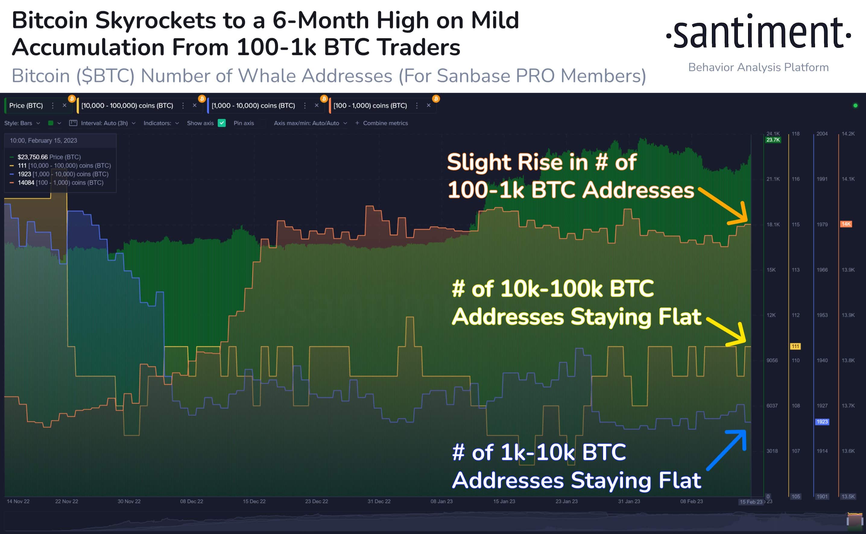 Crypto Market Jumps 10% with Bitcoin Approaching $25,000, BLUR Token Volume Hits $1 Billion