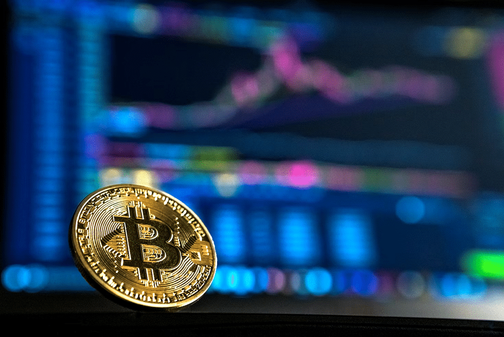 Potentially Become a Millionaire with New Crypto Signuptoken.com: Will It Become as Gigantic as the DeFi Cryptos Bitcoin and Ethereum?
