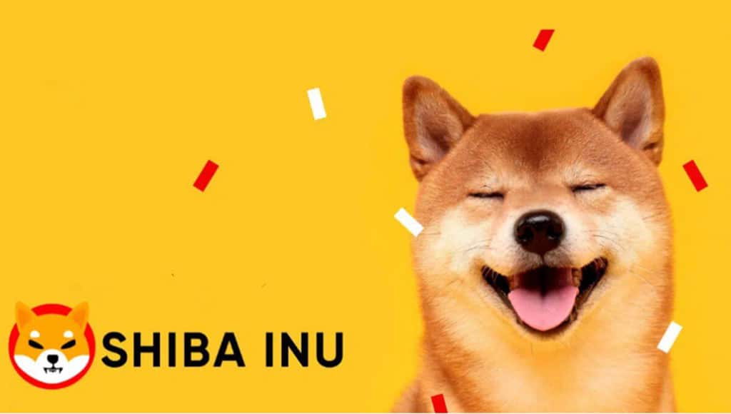 Can HedgeUp (HDUP) Replicate the Success of Shiba Inu (SHIB) and Dogecoin (DOGE) Before the Bull Run?