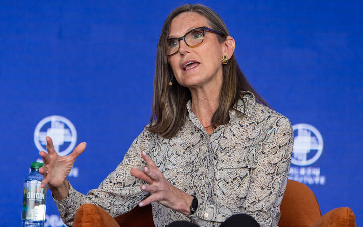 Cathie Wood Sees Software Stocks as Next Opportunity in AI