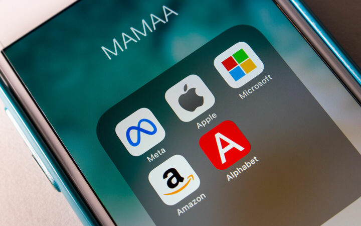 What Are MAMAA Stocks?