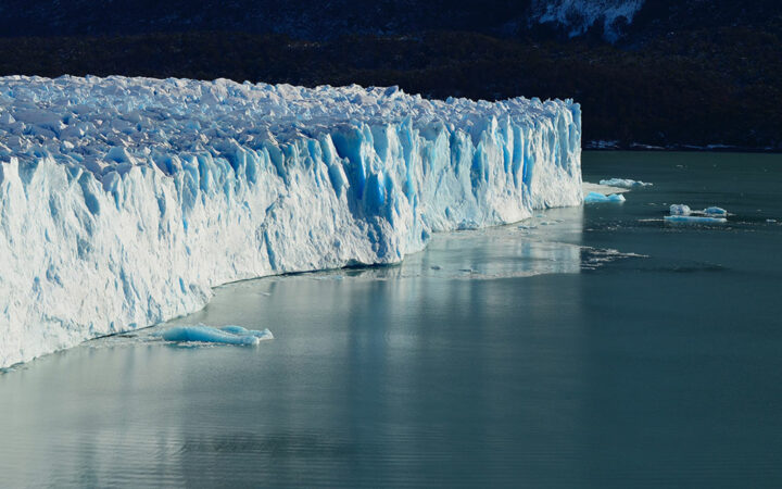 SingularityNET Partners with Blockchain Firm VeChain to Fight Climate Change