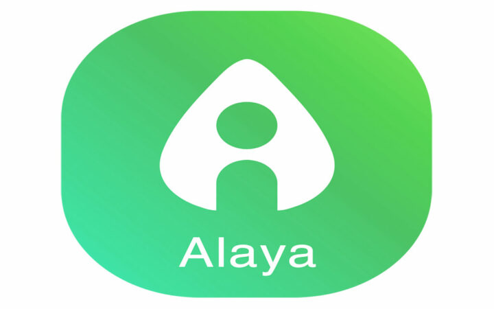 Alaya: The Pioneer of Artificial Intelligence Data