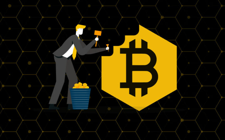 New Bitcoin BSC Crypto ICO Launches, Raises Over $1,000,000 in Six Days