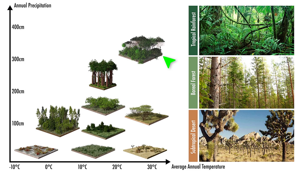 AI in Game Development: Creating Realistic and Immersive Virtual Worlds