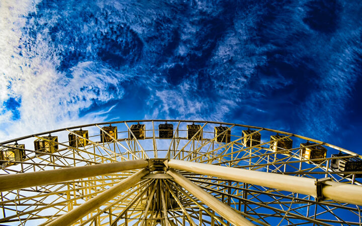 Solana Dog-Themed Meme Coin BONK Jumps Nearly 2,000% in 30 Days