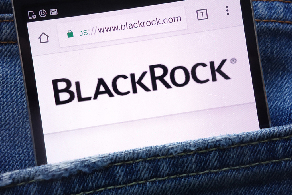 BlackRock Meets SEC over Spot Bitcoin ETF and Redemption Requirements
