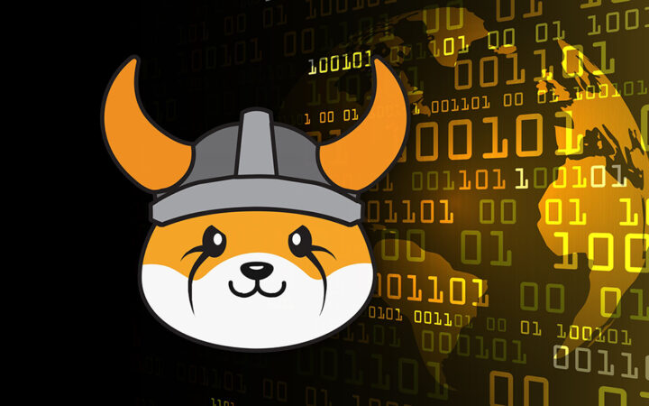 DWF Labs Invests Additional $1.25M in FLOKI to Support the Ecosystem