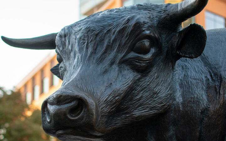 Crypto Executives Predict Bull Run for Bitcoin in 2024, Others Disagree