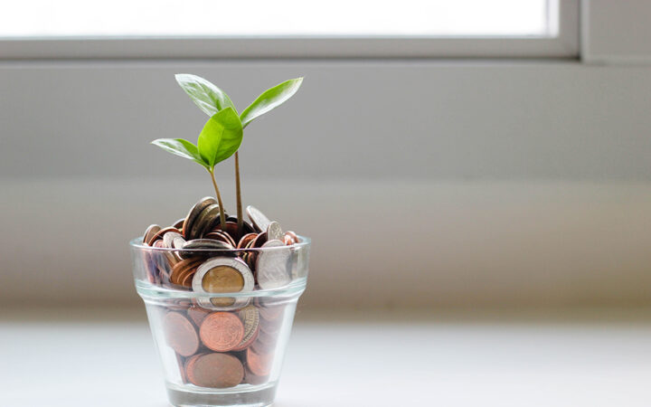 DeFi Protocol Grove Secures $7.9M in Funding for Business Expansion