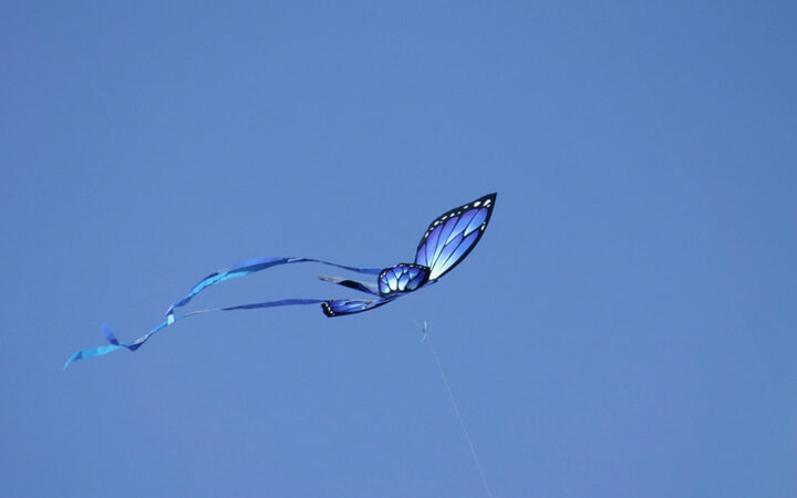 Decentralized Social Media App Bluesky Opens to Public