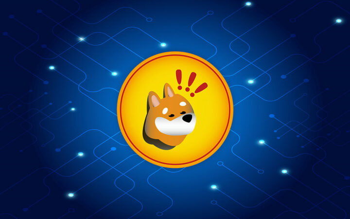 BONK Price Shoots 13% as Solana-Based Memecoin Lists on Fintech Platform Revolut