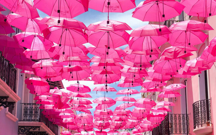 Polkadot to Roll Out Its Community Token $PINK