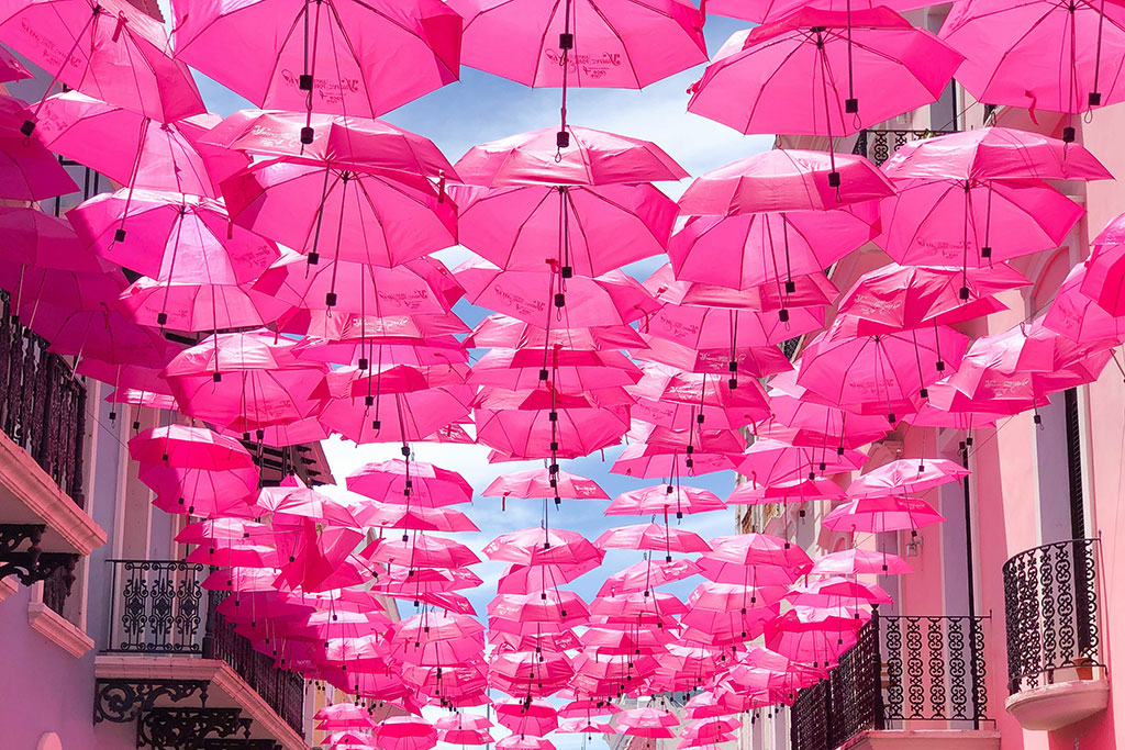 Polkadot to Roll Out Its Community Token $PINK