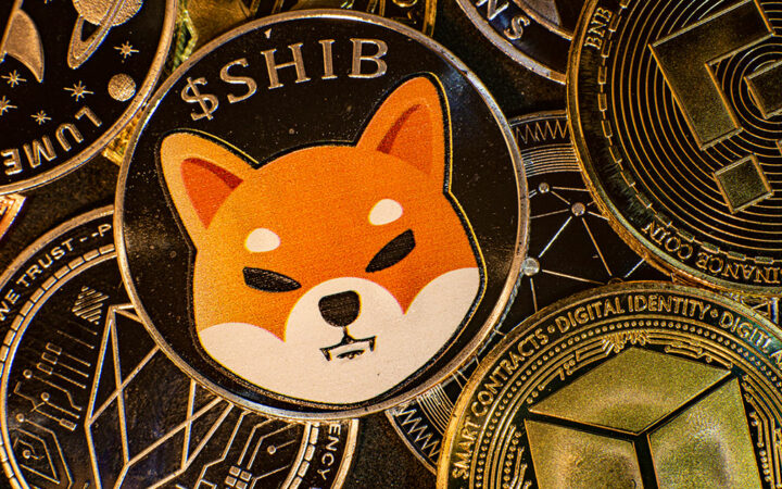 Shiba Inu Declines Briefly on Coinbase Following Price Surge of 50%