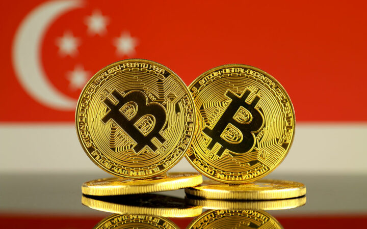 Singaporean Investors Embrace Bitcoin ETFs, 48% Planning to Increase BTC Holdings in 2024