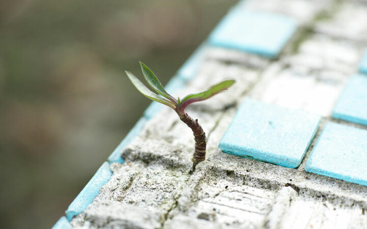 Figment Soars with Record-Breaking Growth in Q1 2024 and Expanded Staking Services