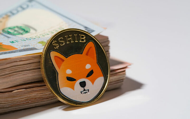 Shiba Inu Secures $12M in Funding for Blockchain Development and Ecosystem Expansion