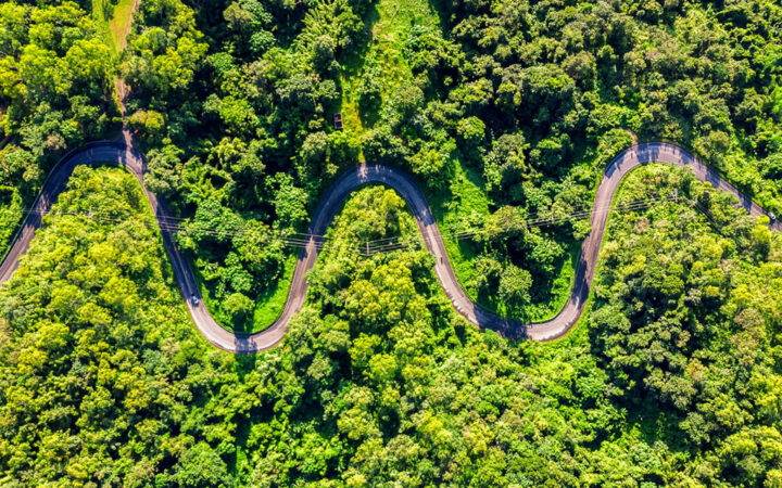 Wormhole Unveils The Roadmap for Its Native W Token