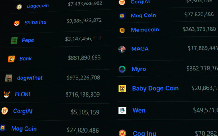 Exploring Popular Meme Coins