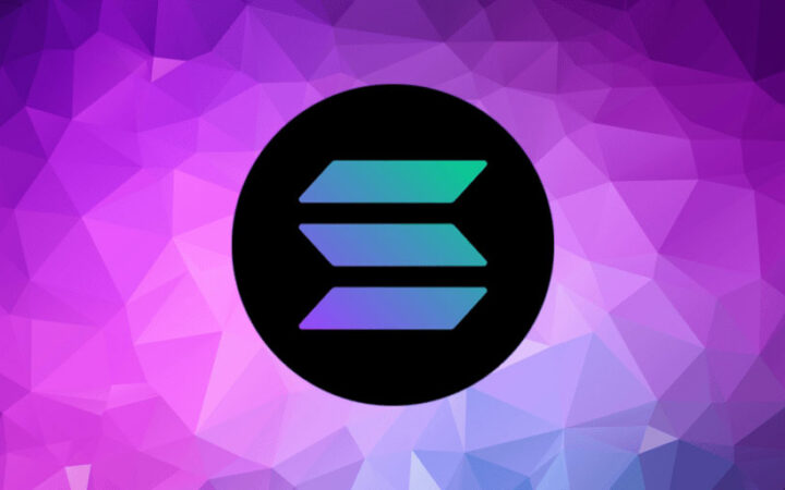 Solana Price Pump Increases Interest in New Meme Coin Sealana