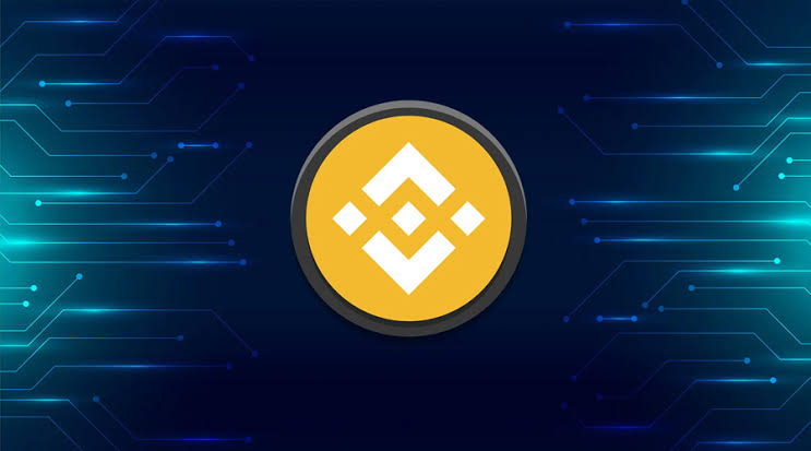 BNB Plummets Despite Market Rally, Where Are Binance Coin Investors Moving?