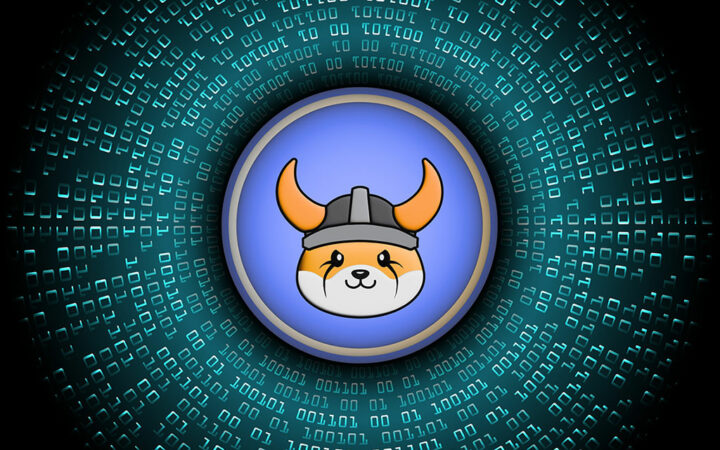 Floki Ecosystem Gets $12M Boost from DWF Labs