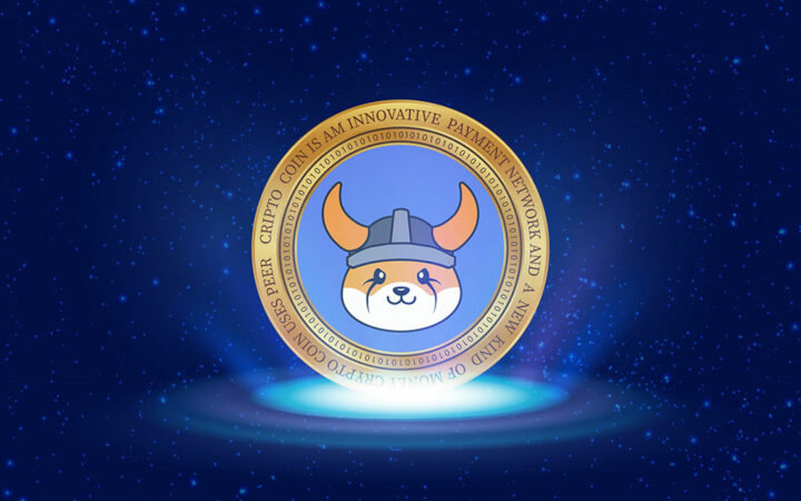 Floki Inu (FLOKI) Skyrockets 13%, Community Reacts