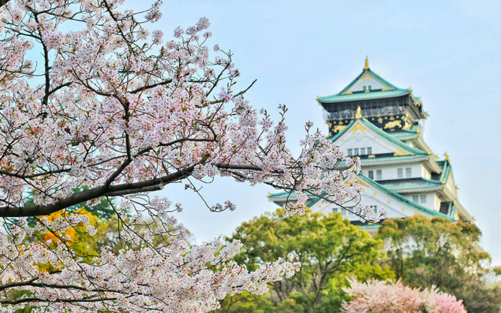 Ripple Launches XRPL Fund to Drive Blockchain Innovation in Japan, South Korea