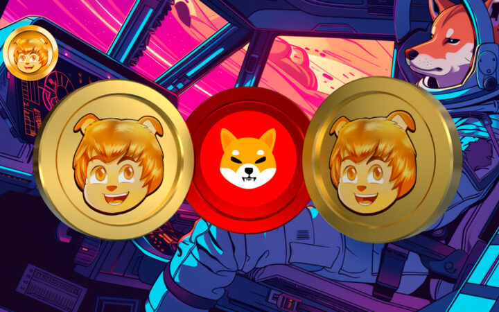Is Shiba Inu or AlexTheDoge A Millionaire Maker In 2024?