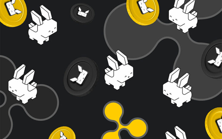 XRP and Notcoin Holders Catch the “Not To Be Missed” Raboo Wave, Fueling Market Excitement