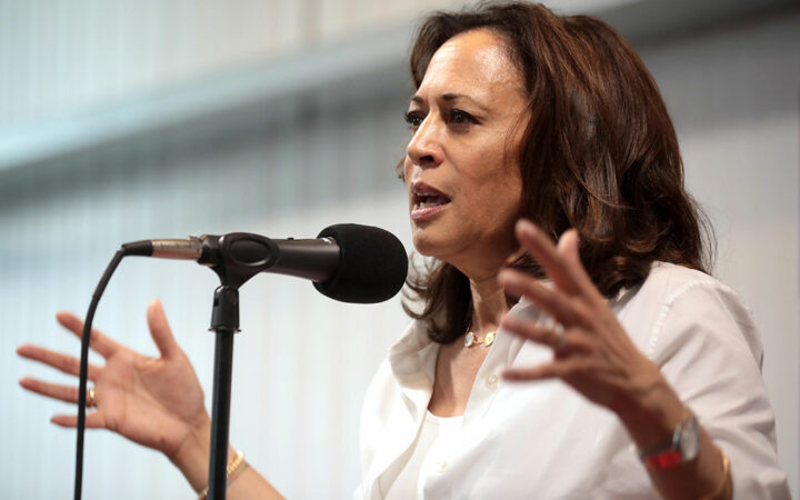 Kamala Harris Reportedly Rebuffs Bitcoin, Calls Asset ‘Money for Criminals’