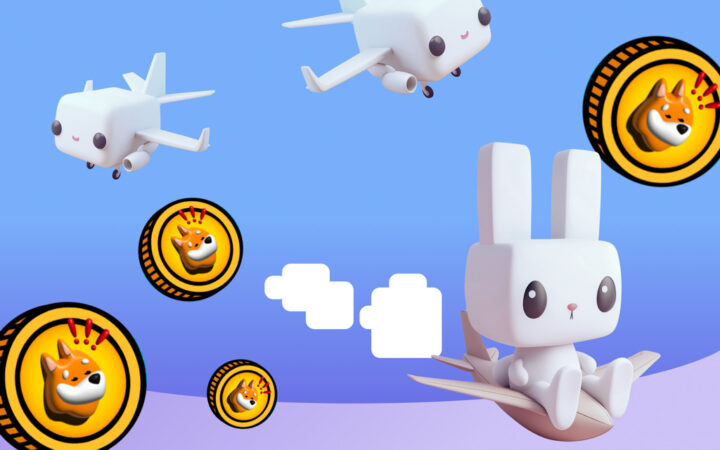 Polkadot and BONK Cool Off As Raboo Emerges As 2024’s Best Low-cost Investment