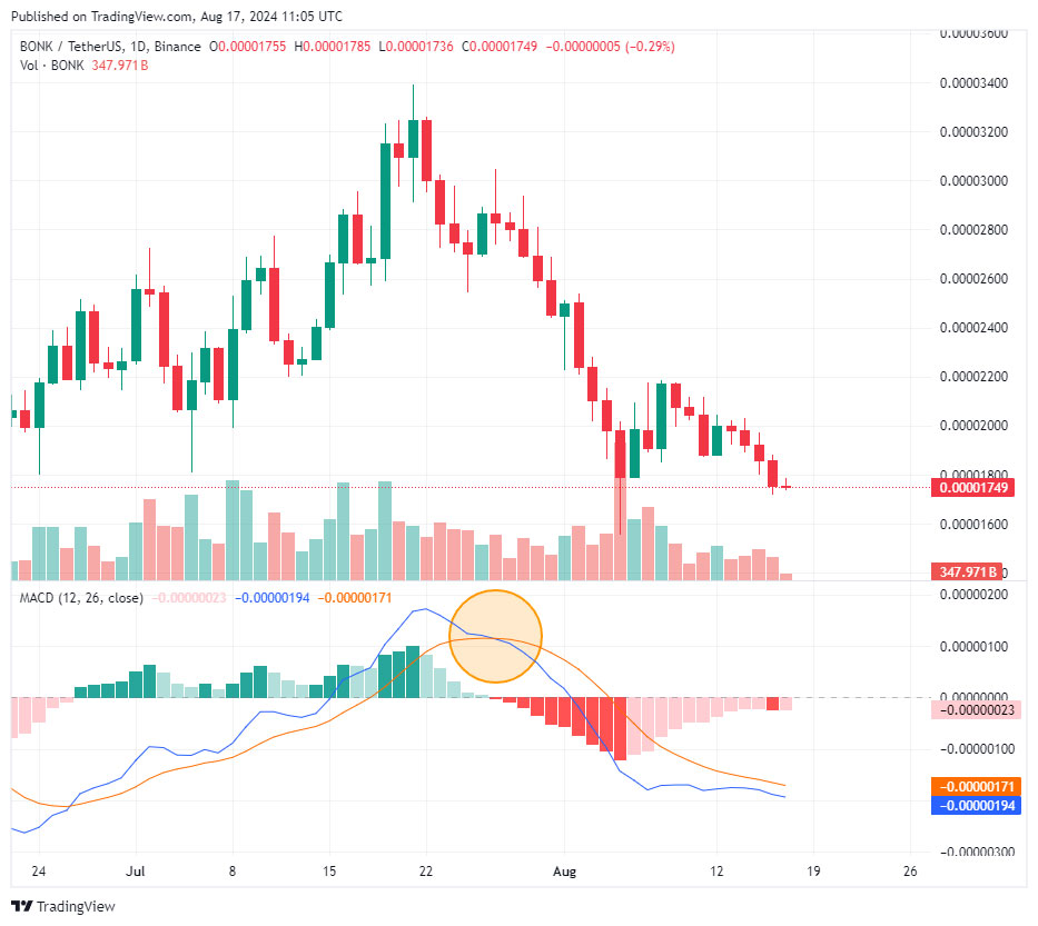 Bonk Price Prediction: Will BONK Price Explode in September?